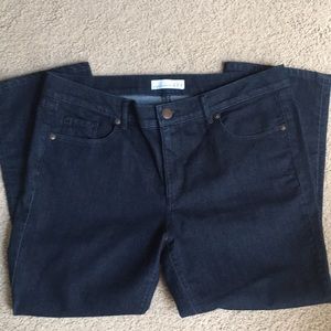 Loft Modern Kick Crop Jeans